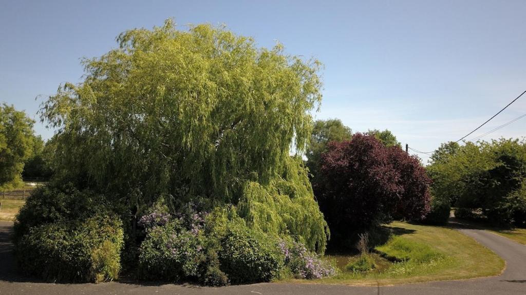 Paddock Barn ~ Short & Long Term Stay, Pets Welcome ~ Woodbridge, Framlingham Ar Cretingham 外观 照片